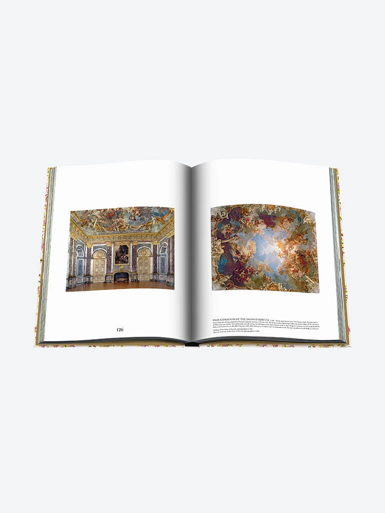 Versailles: from lous xiv to jeff k - Image 14