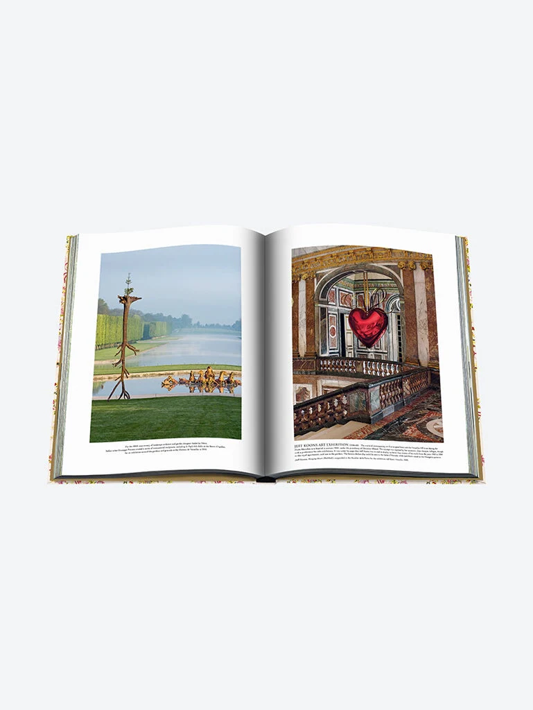 Versailles: from lous xiv to jeff k - Image 18