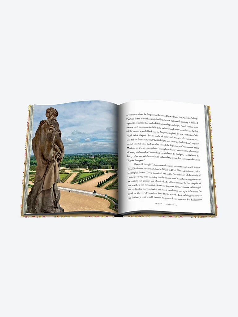 Versailles: from lous xiv to jeff k - Image 6