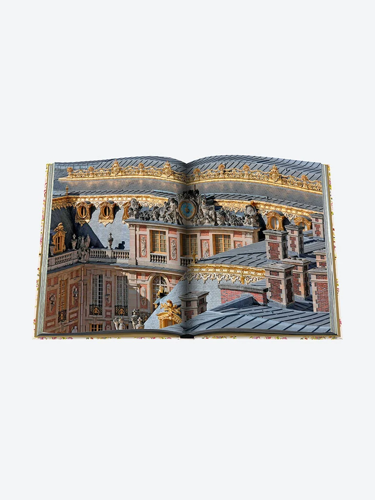 Versailles: from lous xiv to jeff k - Image 8