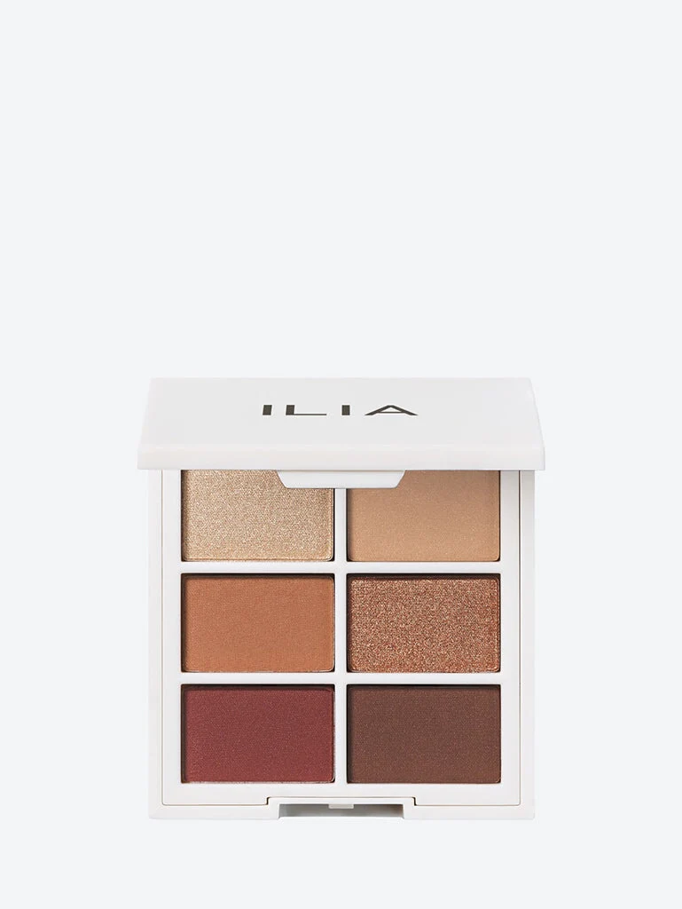 Warm nude the necessary eyeshadow palette